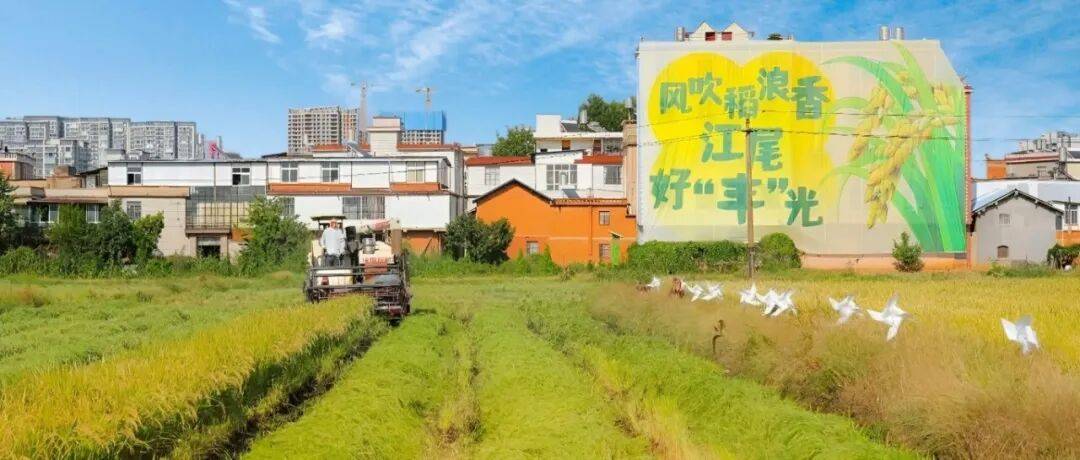 故乡情农业